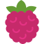 Raspberry ícono 64x64
