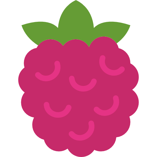 Raspberry ícono
