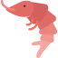 Shrimp icône 64x64