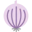 Onion icône 64x64