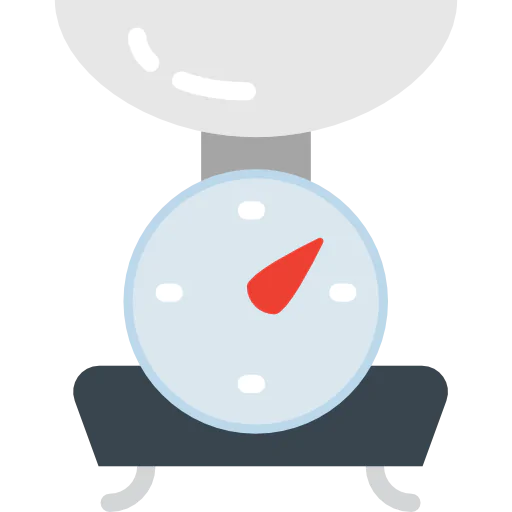 Scale icon