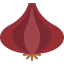 Onion icône 64x64