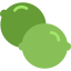 Lime icône 64x64