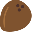 Coconut icône 64x64