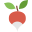 Radish icône 64x64