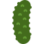 Cucumber icône 64x64