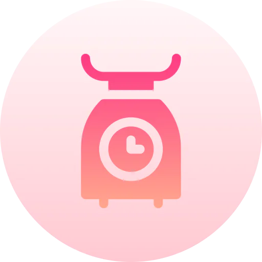Kitchen scale icon