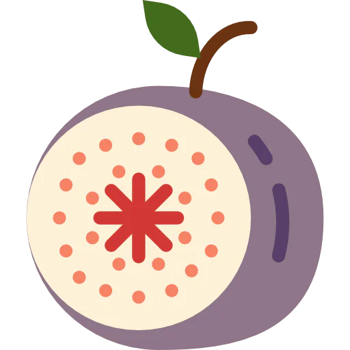 Fig icon