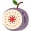 Fig icône 64x64