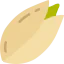 Pistachio icône 64x64
