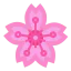 Sakura icon 64x64