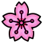 Sakura icon 64x64