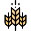 Wheat icon 64x64