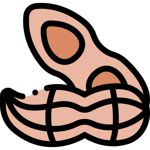 Peanut icon