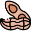 Peanut icon 64x64