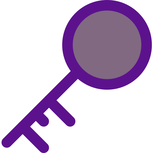 Key icon