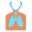 Lungs biểu tượng 64x64