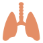 Lungs biểu tượng 64x64