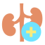 Kidney biểu tượng 64x64