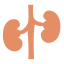 Kidney biểu tượng 64x64