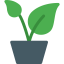 Plant 图标 64x64