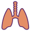 Lungs biểu tượng 64x64