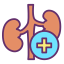 Kidney biểu tượng 64x64
