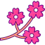 Cherry blossom ícone 64x64