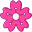 Sakura ícone 64x64