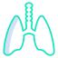 Lungs biểu tượng 64x64