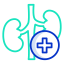 Kidney biểu tượng 64x64