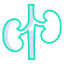Kidney biểu tượng 64x64