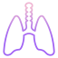 Lungs Ikona 64x64