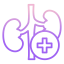 Kidney Ikona 64x64