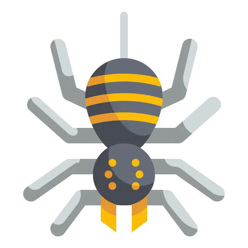 Spider icon