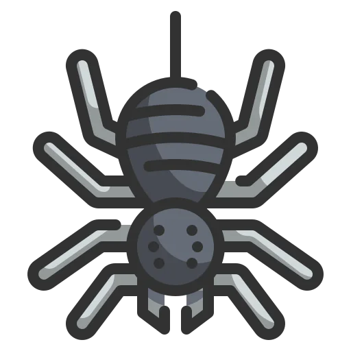 Spider icon
