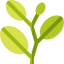 Coca leaves ícone 64x64