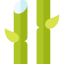 Sugar cane ícone 64x64