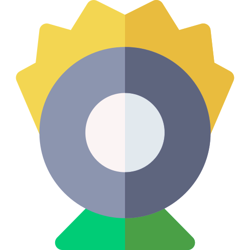 Show icon