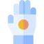 Racing icon 64x64