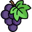 Grape icon 64x64