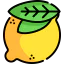 Lemon icon 64x64