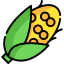 Corn icon 64x64