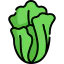 Lettuce icon 64x64