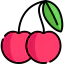 Cherry icon 64x64
