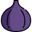 Fig icon 64x64