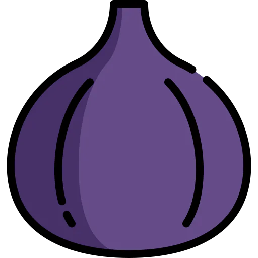 Fig icon