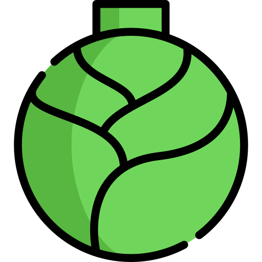 Cabbage icon