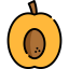 Apricot icon 64x64
