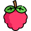 Raspberries icon 64x64